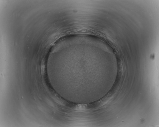 X0000093720080200710231140