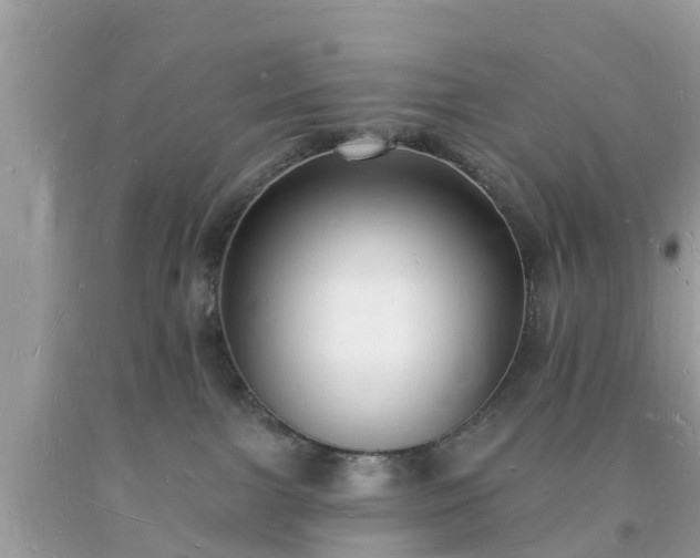 X0000093720091200710231140