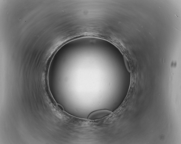 X0000093720098200710231140