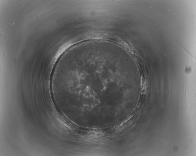 X0000093720099200710231140