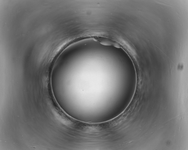 X0000093720107200710231140