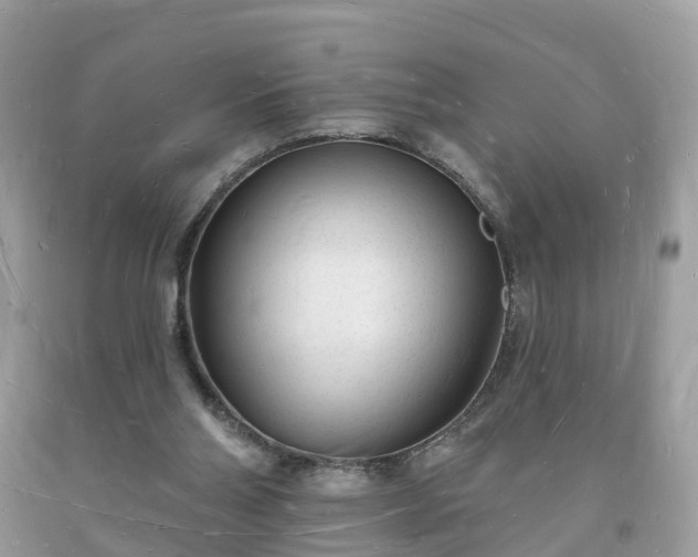 X0000093720110200710231140
