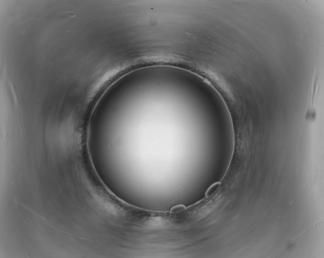 X0000093720111200710231140