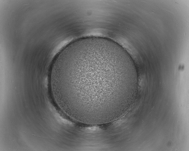 X0000093720112200710231140