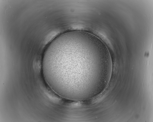 X0000093720116200710231139