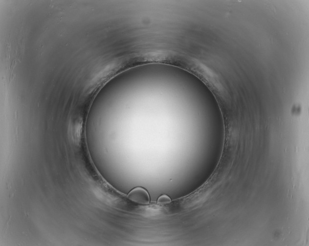 X0000093720118200710231139