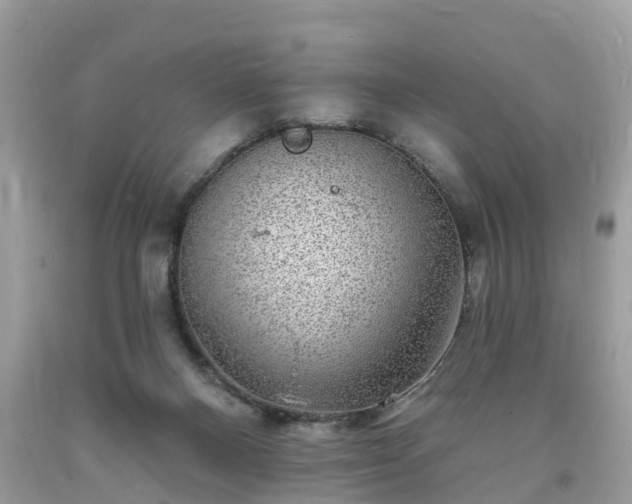 X0000093720120200710231139
