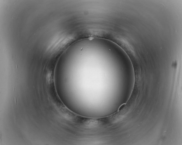 X0000093720123200710231139