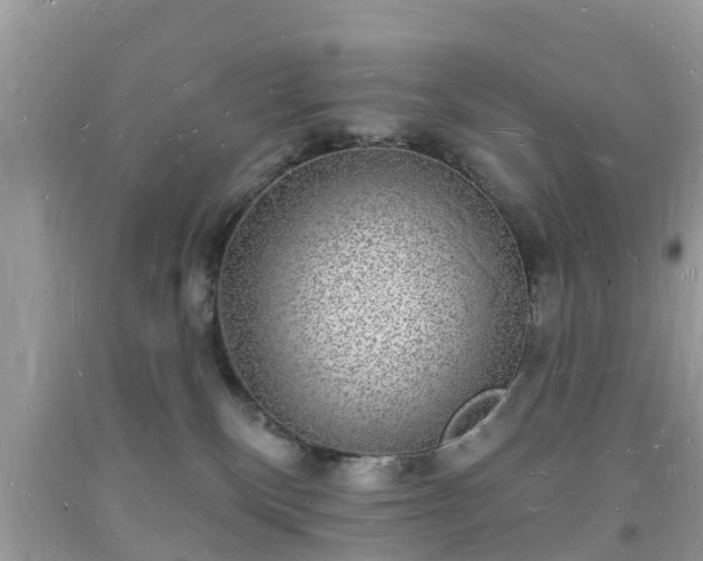 X0000093720136200710231139