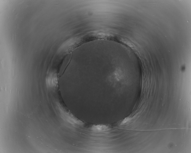 X0000093720137200710231139