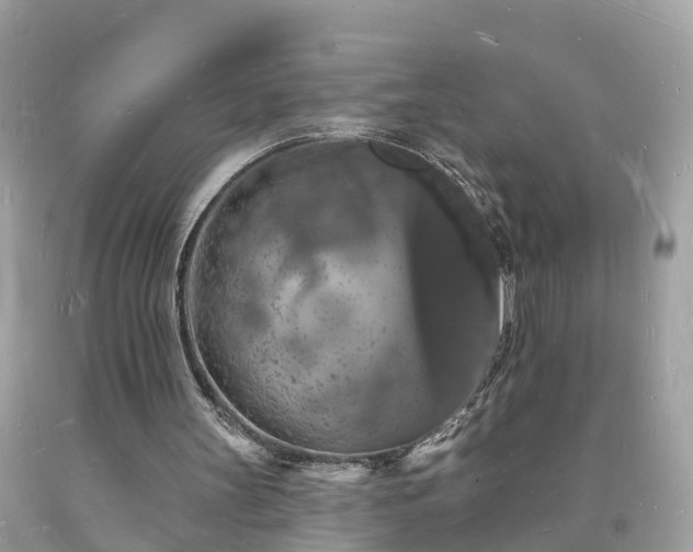 X0000093720147200710231139
