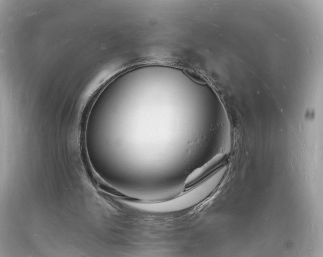 X0000093720150200710231139