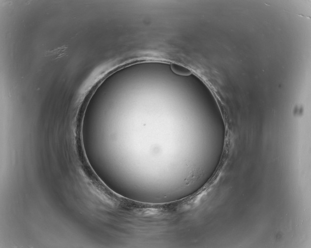 X0000093720151200710231139