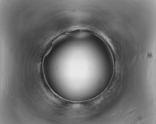 X0000093720153200710231139