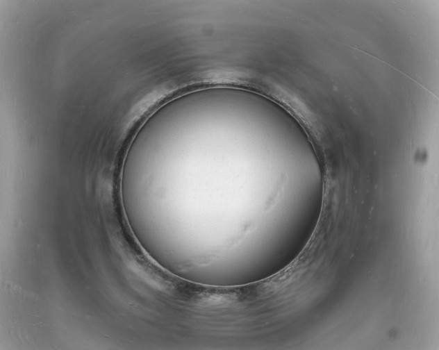 X0000093720155200710231139