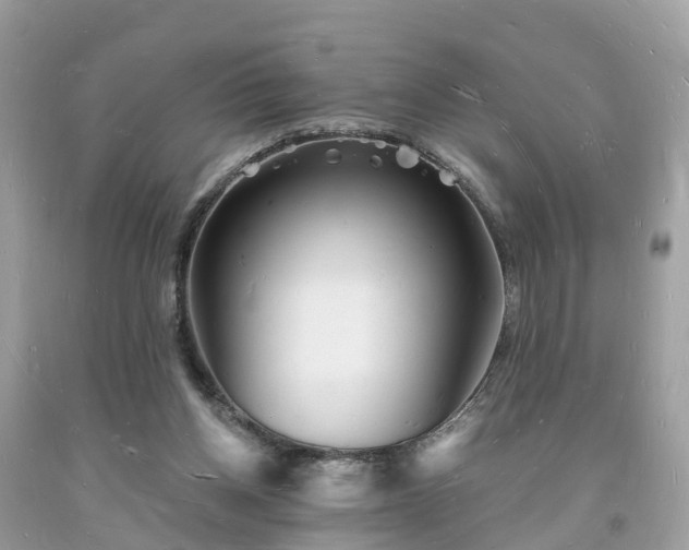 X0000093720158200710231139