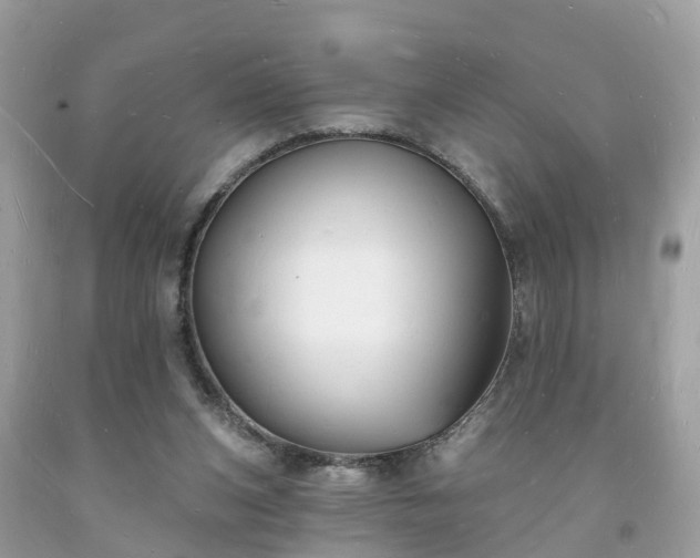 X0000093720159200710231139