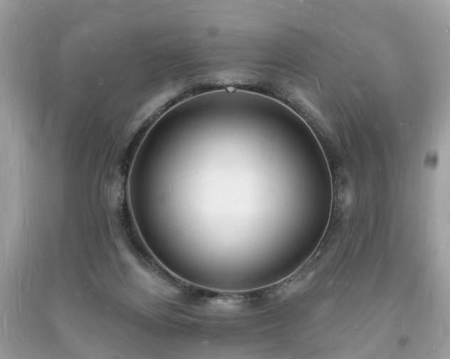 X0000093720164200710231139