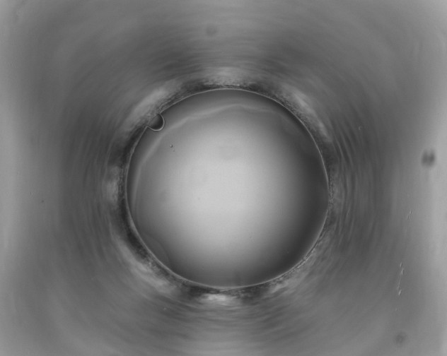 X0000093720167200710231139