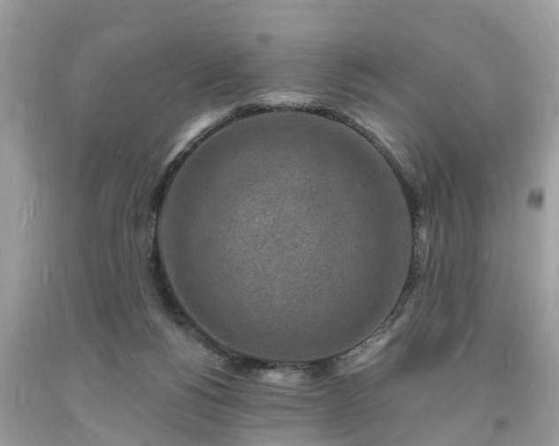X0000093720168200710231139