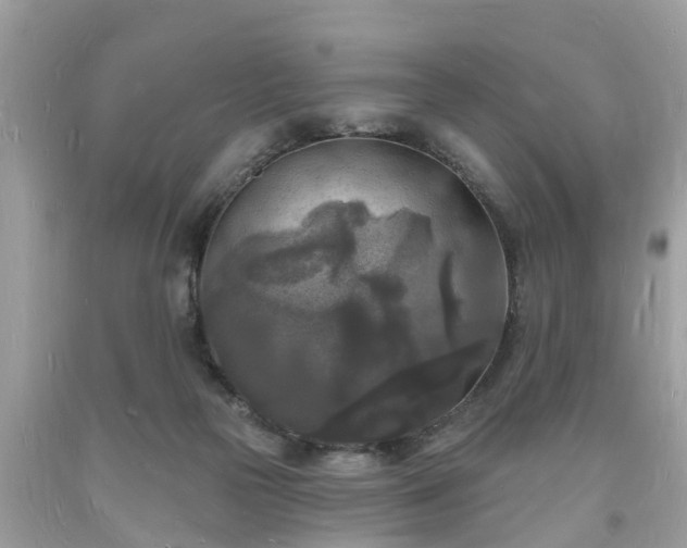 X0000093720169200710231139