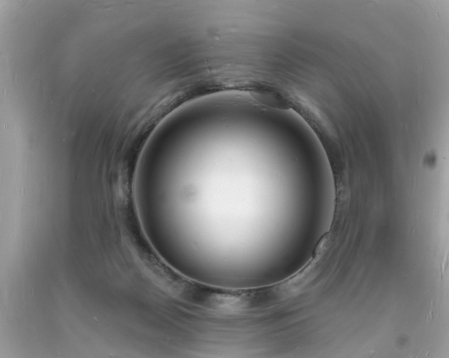 X0000093720170200710231139