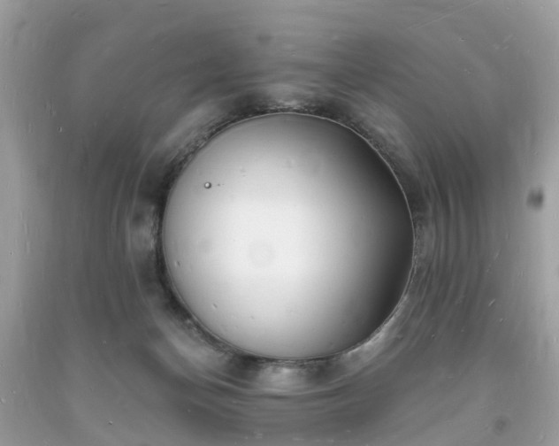 X0000093720174200710231139