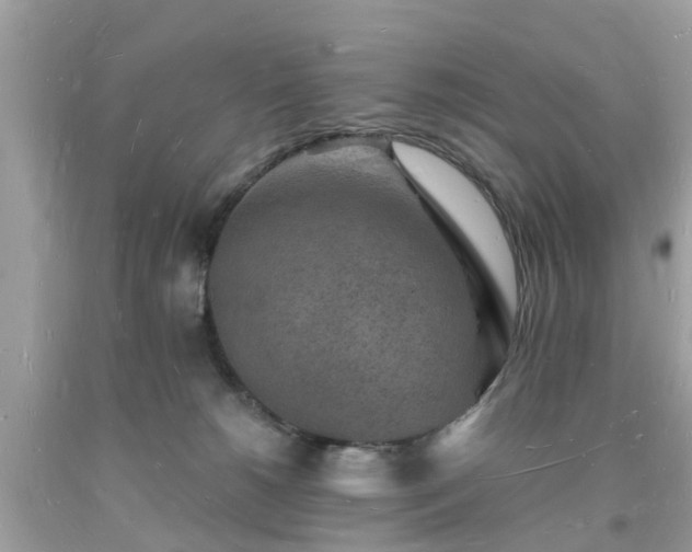 X0000093720180200710231139