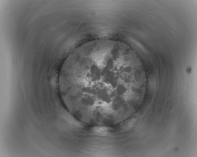 X0000093720181200710231139