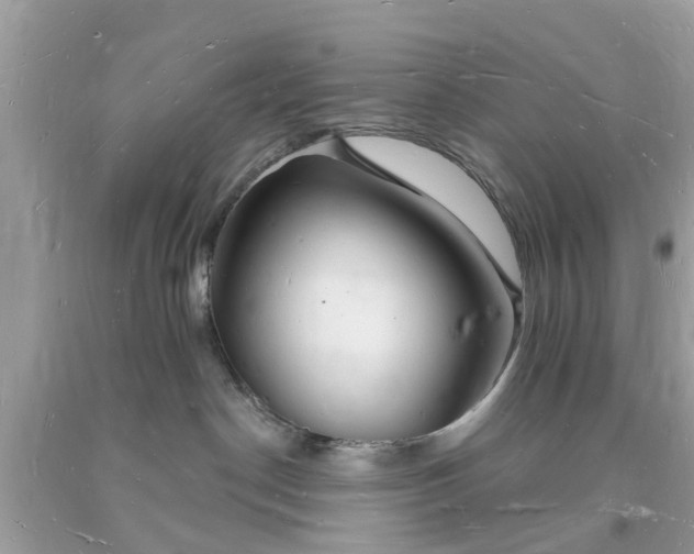X0000093720190200710231139