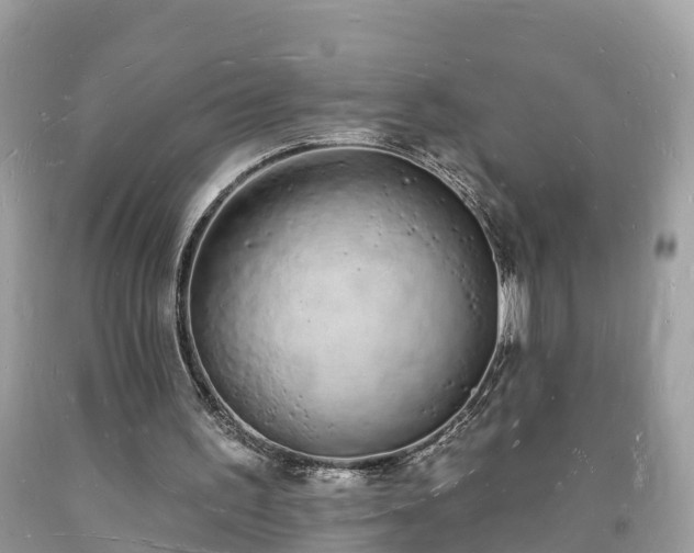 X0000093720195200710231138