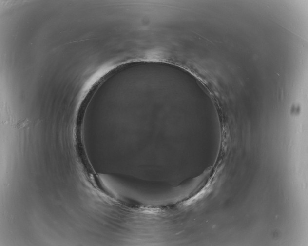 X0000093720200200710231138