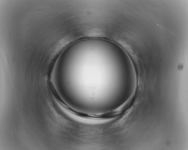 X0000093720201200710231138