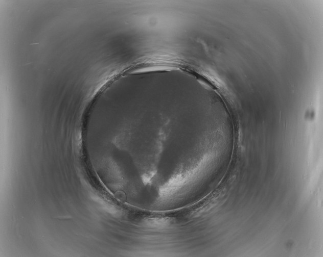 X0000093720202200710231138