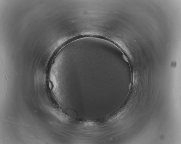 X0000093720204200710231138