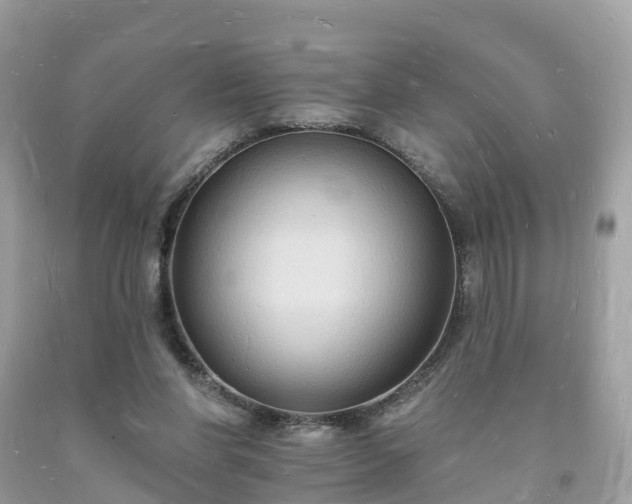 X0000093720206200710231138