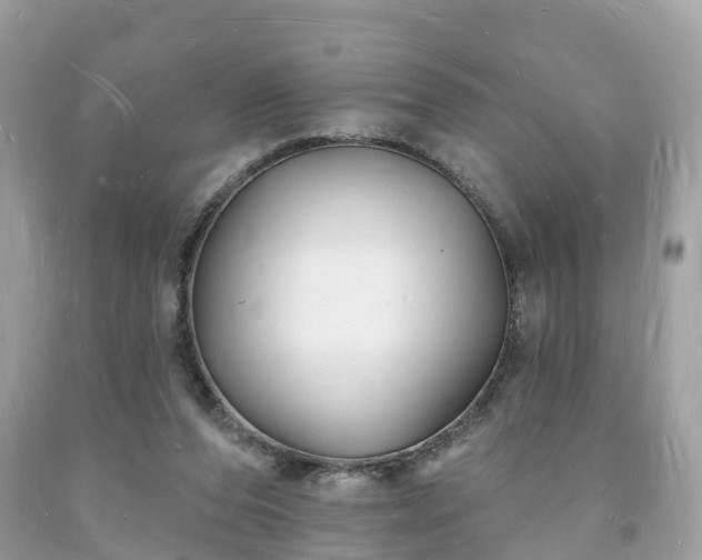 X0000093720208200710231138