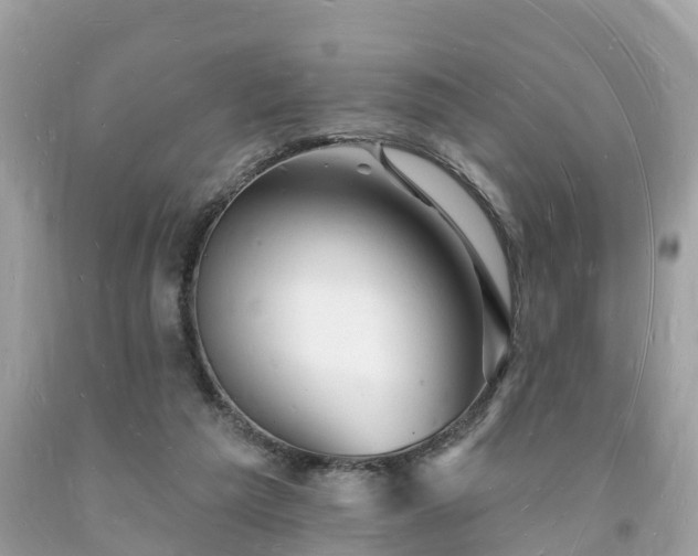 X0000093720209200710231138