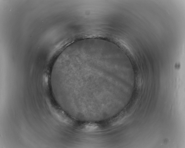 X0000093720214200710231138