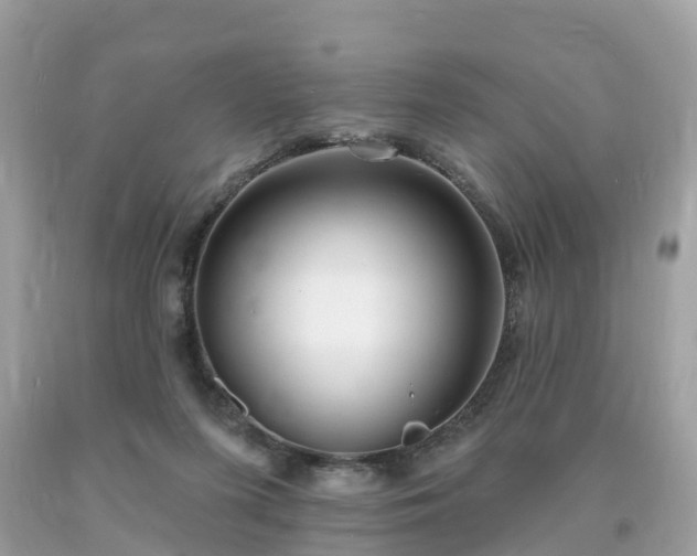 X0000093720215200710231138