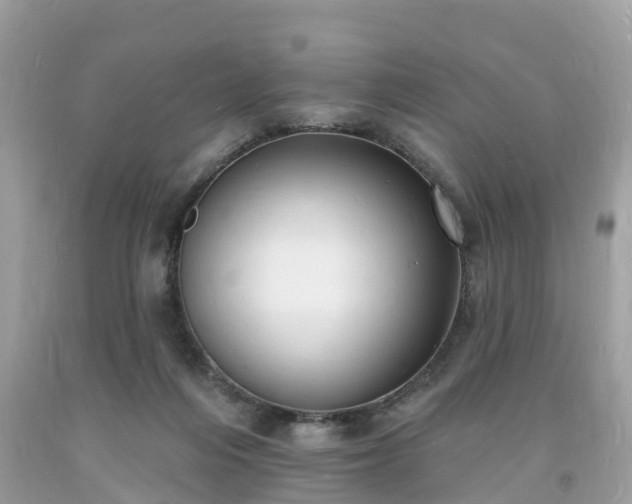 X0000093720216200710231138