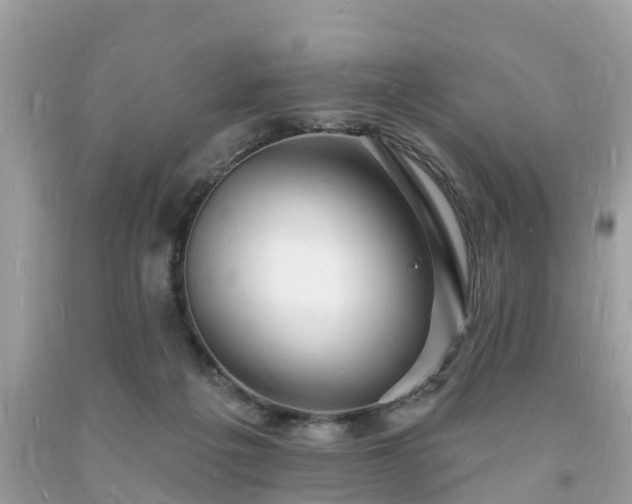 X0000093720217200710231138