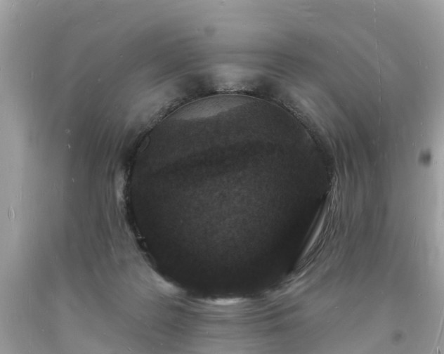 X0000093720219200710231138