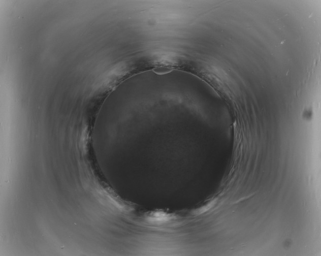 X0000093720223200710231138