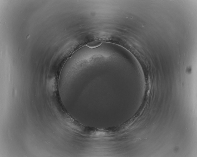X0000093720224200710231138