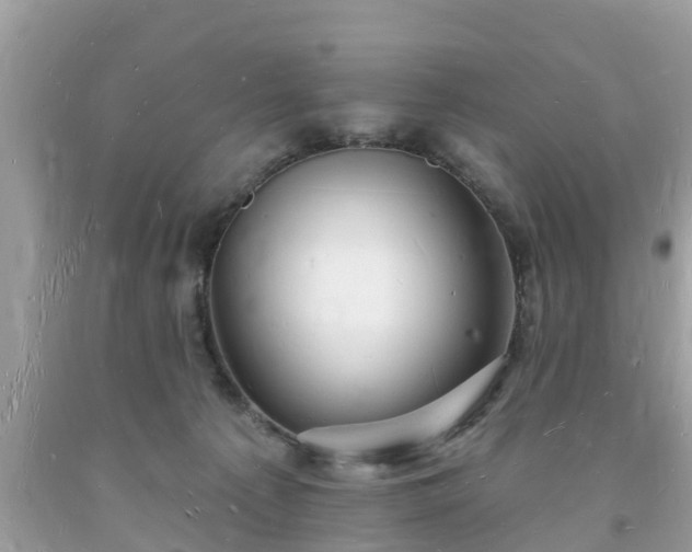 X0000093720225200710231138