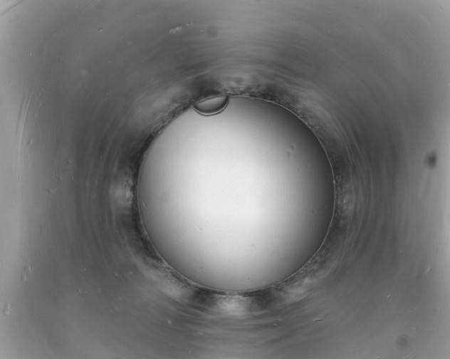 X0000093720226200710231138