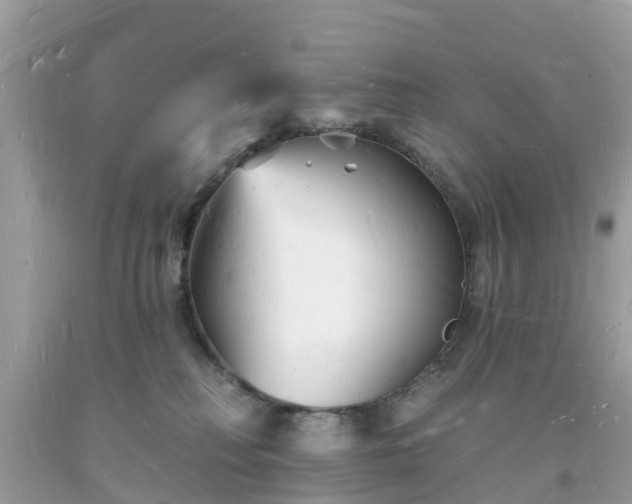 X0000093720230200710231138