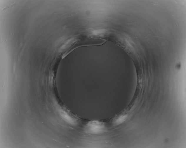 X0000093720231200710231138