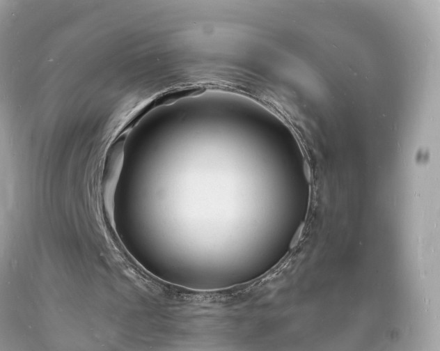 X0000093720241200710231137